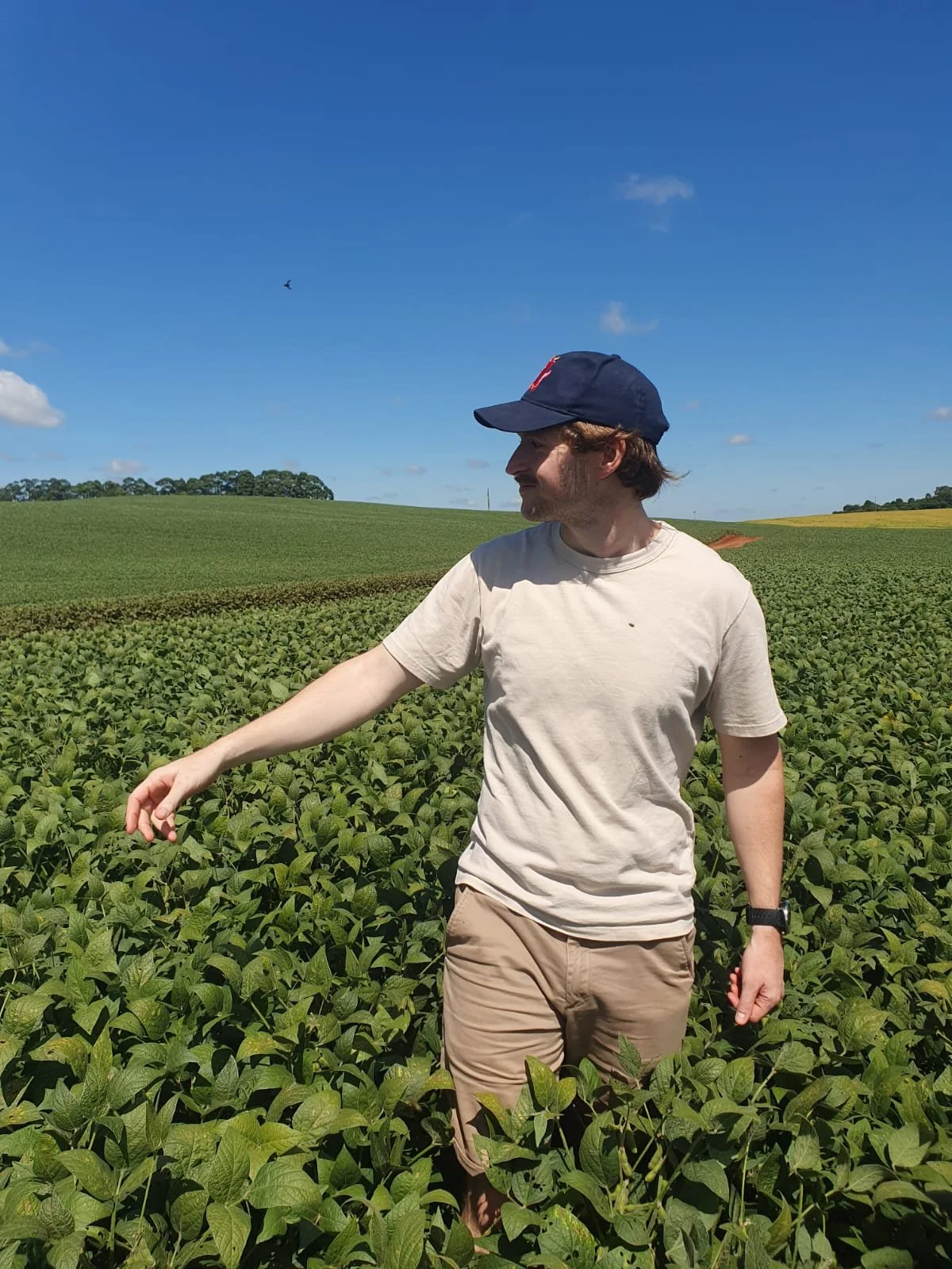 Fly2Feed owner David Tavernor in Brazilian soyabean field
