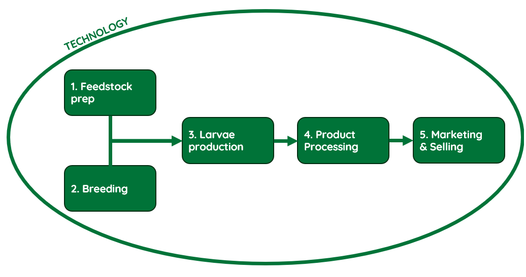 Black soldier fly market segmentation