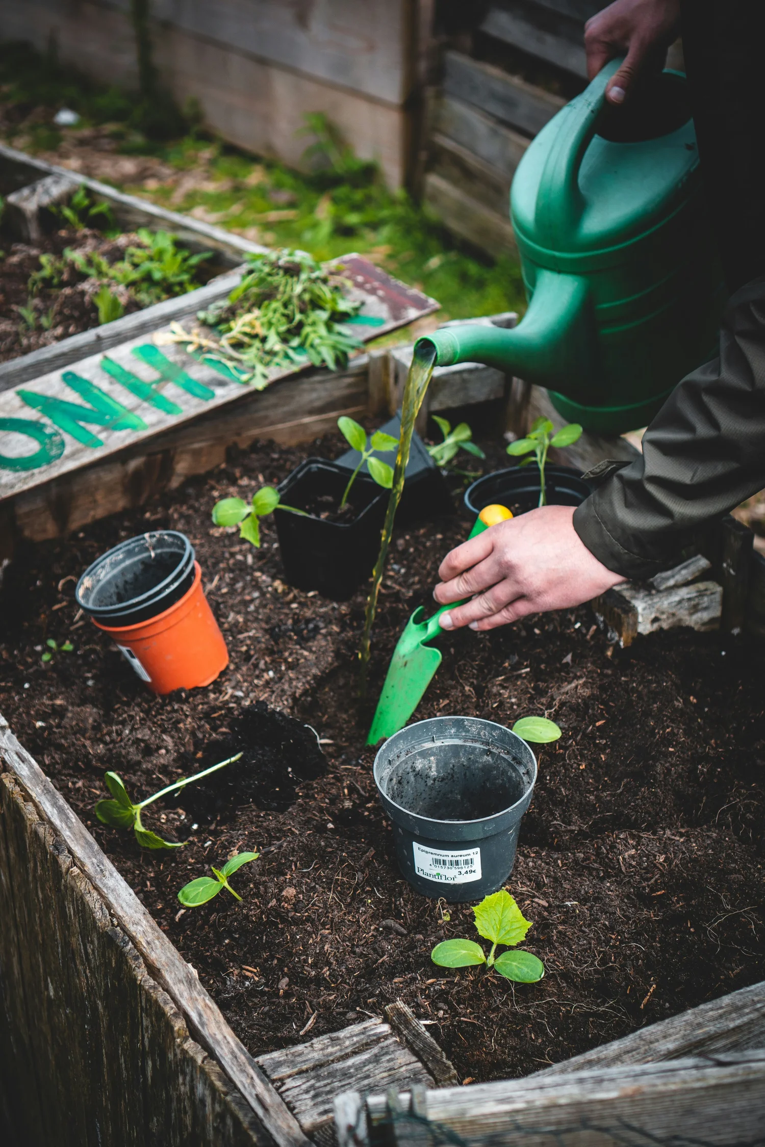 Children raised bed trials with BSF frass